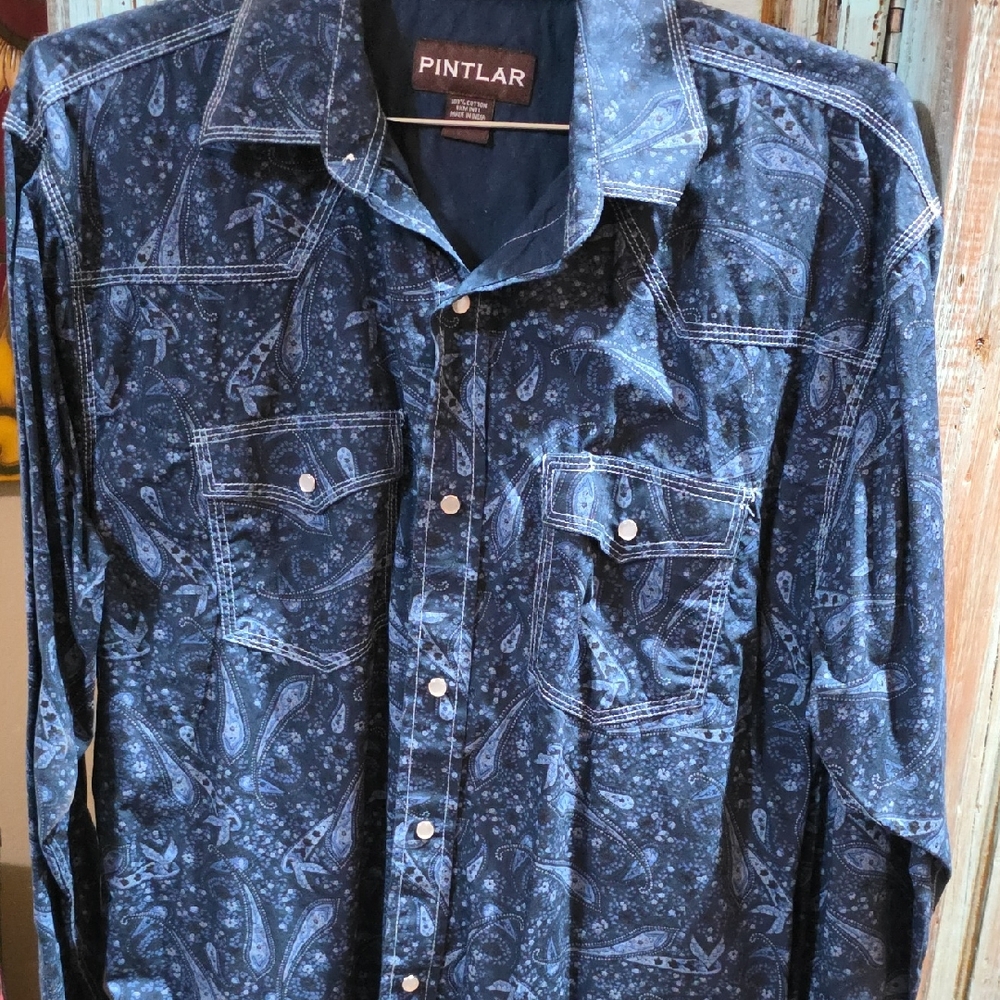 Men's Blue Paisley Casual Button Down Shirt